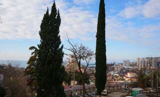 Гостиница Хостел Виктори Сочи Номер "Стандарт"-28